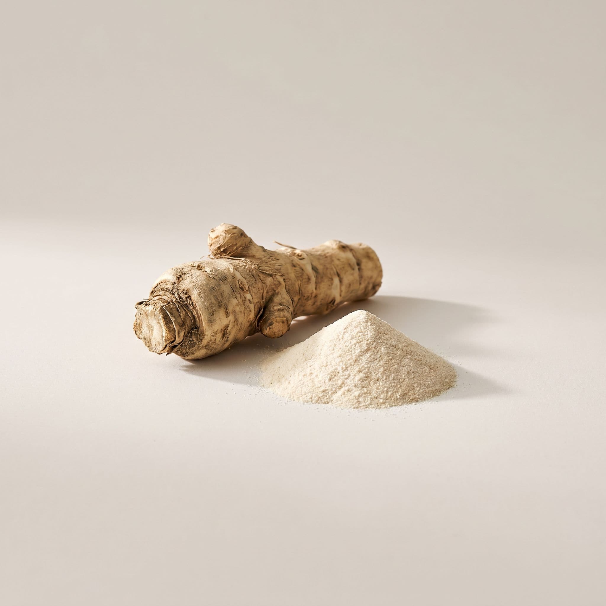 Prebiotic (inulin + FOS)